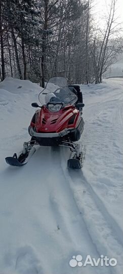 Yamaha Viking professional