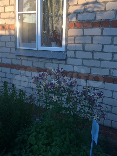 Дача 50 м² на участке 4 сот.