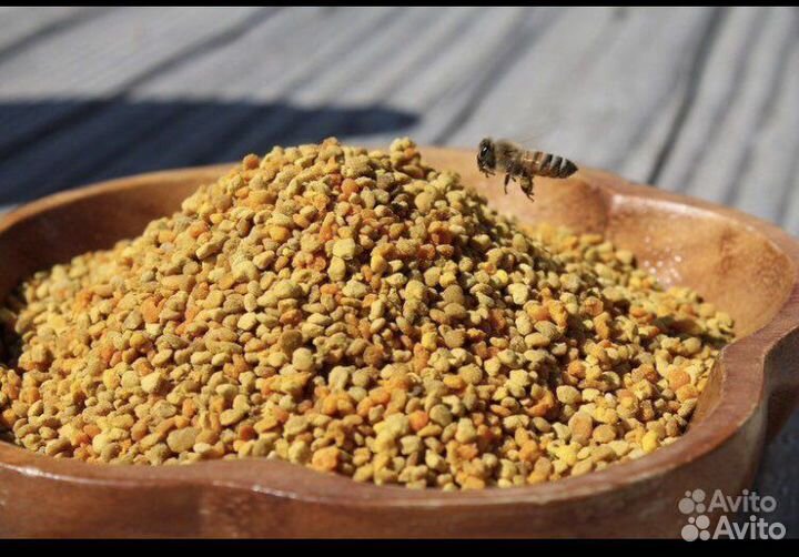 Пыльца пчелиная