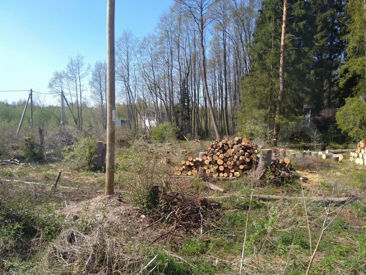 Участок 12 сот. (ИЖС)