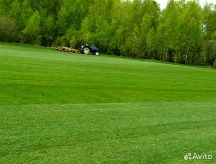 Рулонный газон