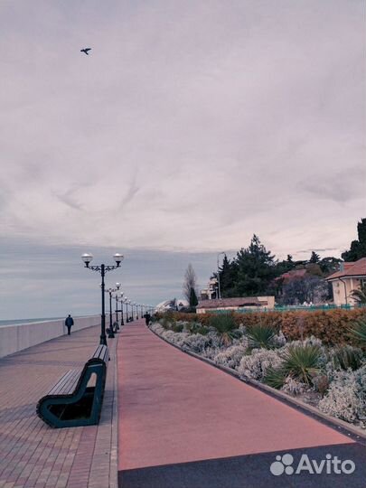 Автобусный тур Сочи + Красная поляна Новый год