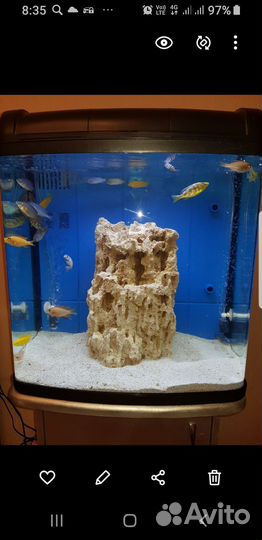 Аквариум