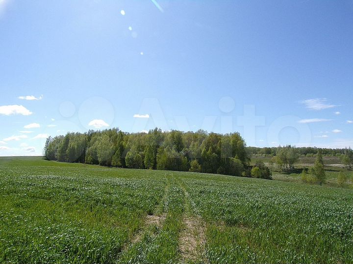 Участок 10 сот. (ИЖС)