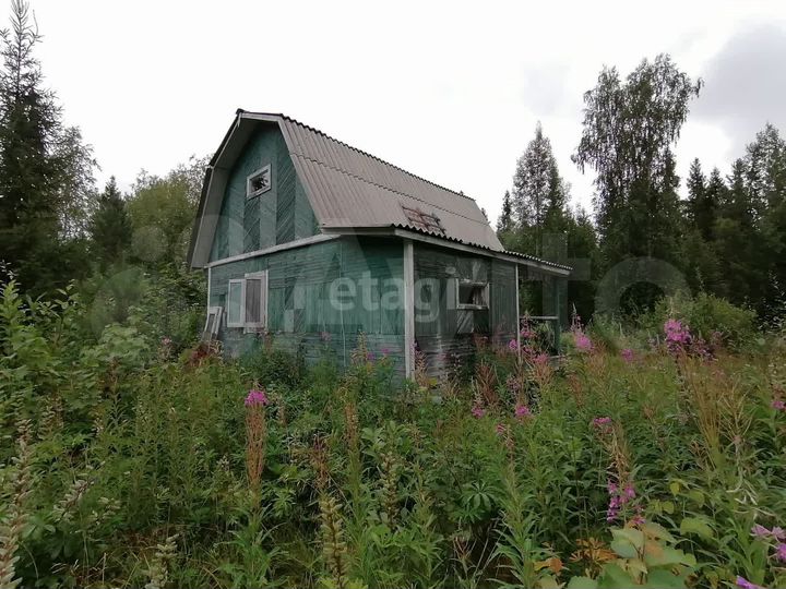 Дача 60 м² на участке 14,3 сот.