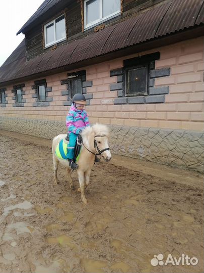 Конный клуб 