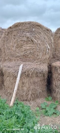 Сено в тюках