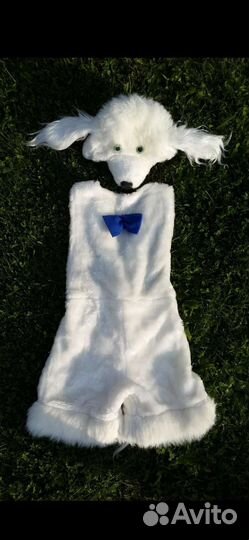 Детский белый костюм собачки