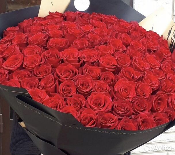 Роза 101, 51, 35