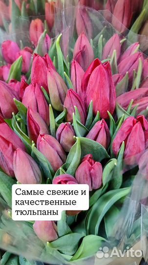 Тюльпаны с оформлением