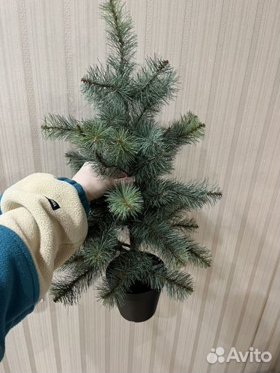 Елочка новогодняя