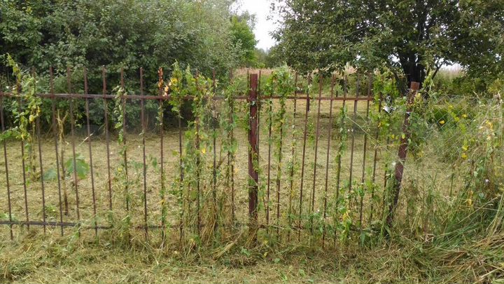 Участок 15 сот. (ИЖС)