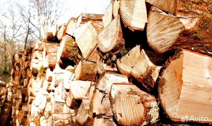 Дрова сухие