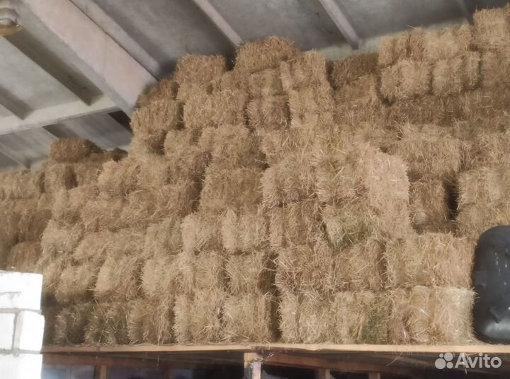 Солома в тюках доставка в Серпухов