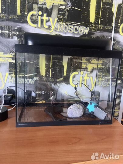 Аквариум