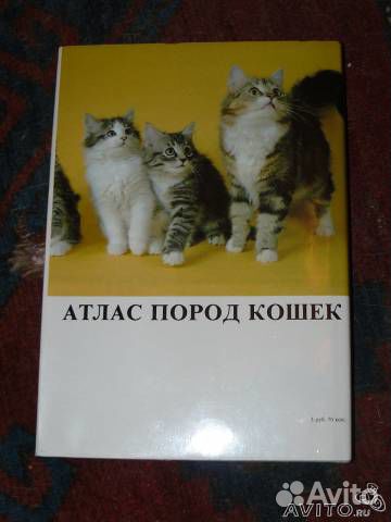Атлас пород кошек Ян Варжейчко