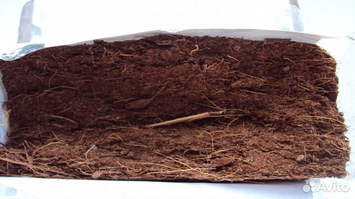 Грунт для террариумов CocoBlocko мелкий