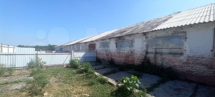 Продаю ферму
