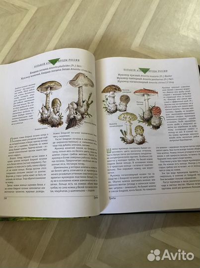 Книги для детей и подростков