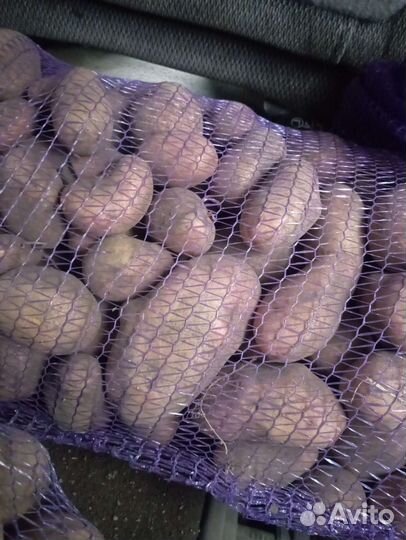 Продам картофель домашний