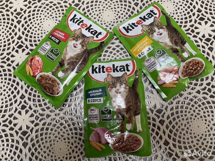 Влажный корм для кошек