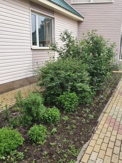 Дом 260 м² на участке 24 сот.