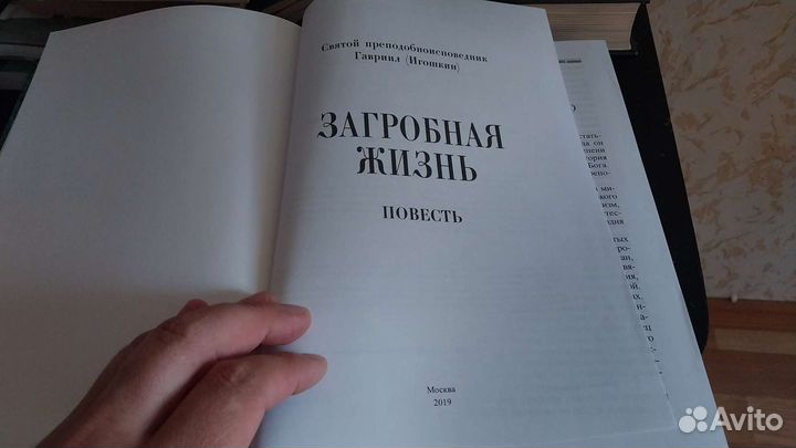 Загробная жизнь