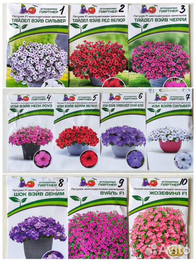 Петуния гигантская Тайдел Вейв Черри, Ред Велюр