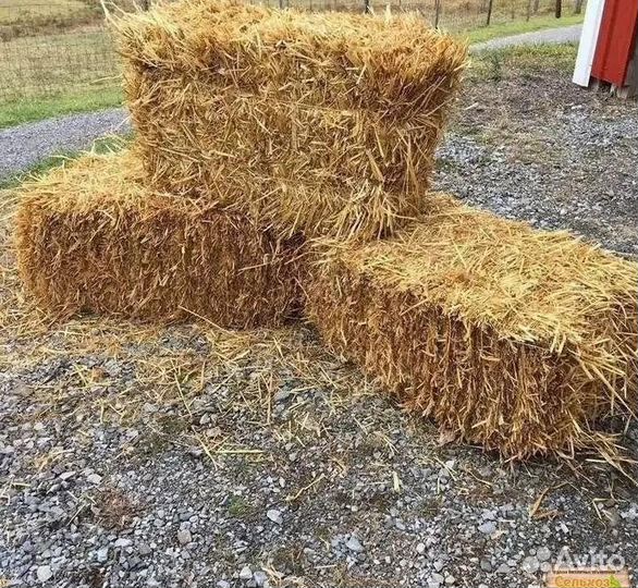 Солома в тюках
