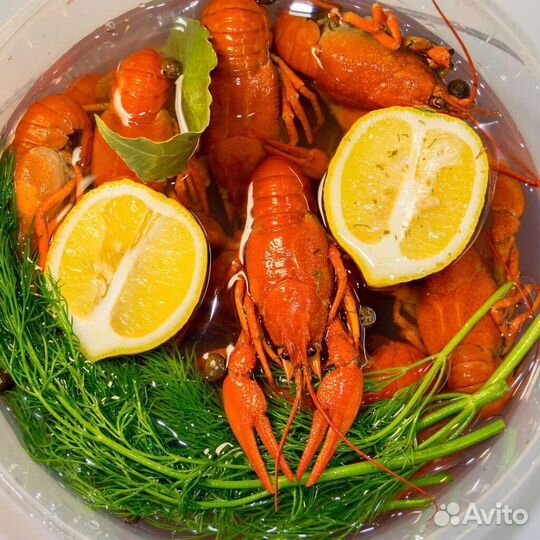 Живые и Варёные Раки с Доставкой