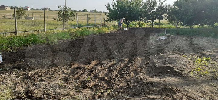 Участок 11 сот. (СНТ, ДНП)