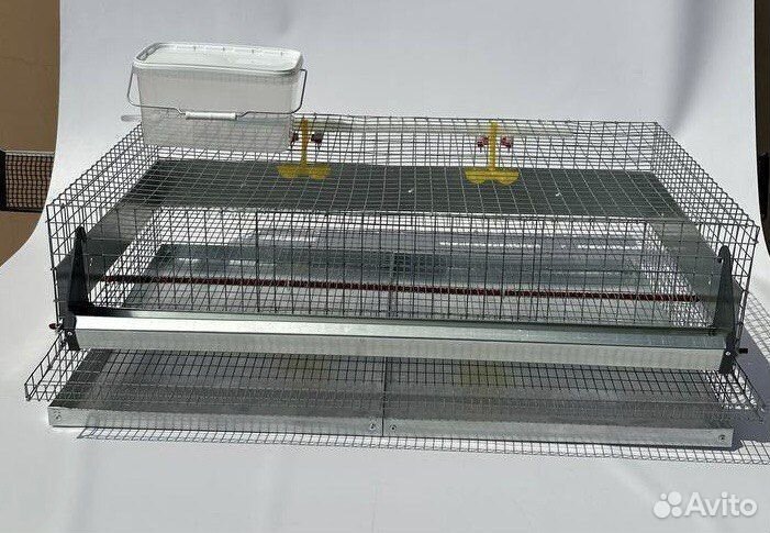 Клетки для 50 перепелов