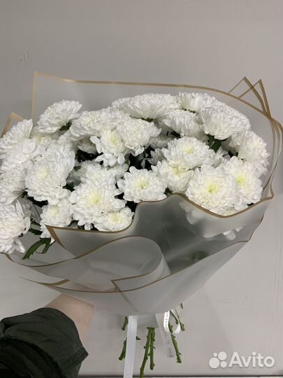 9 Хризантем в букете, есть доставка