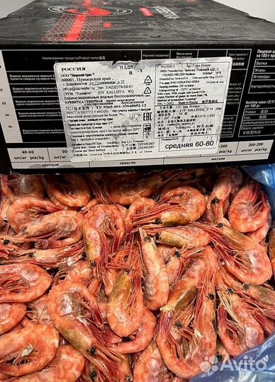 Креветка Северная