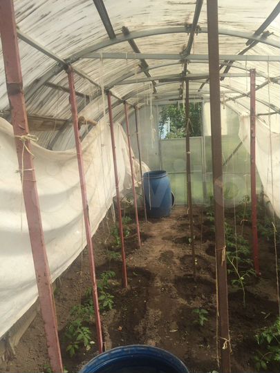 Участок 4,1 сот. (СНТ, ДНП)