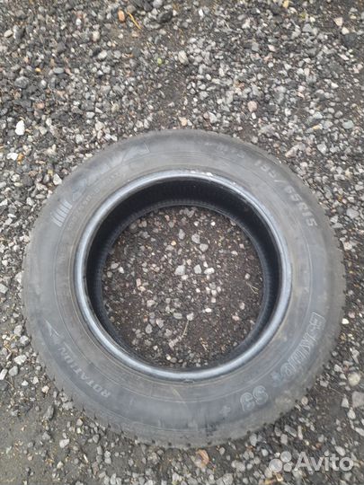 Шина сова лепучка