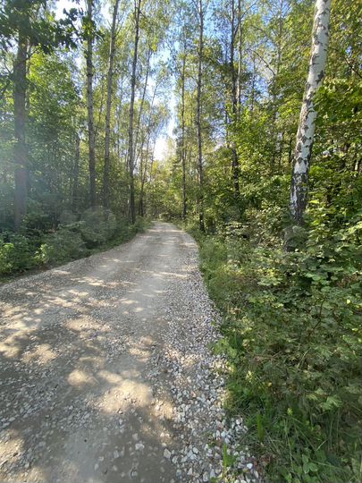 Дача 50 м² на участке 9 сот.