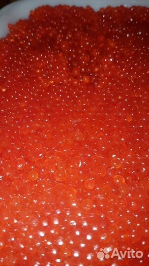 Красная икра кета розница