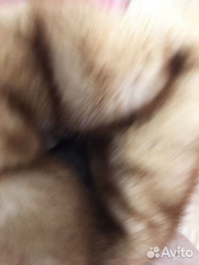 Шуба норковая автоледи 54 56