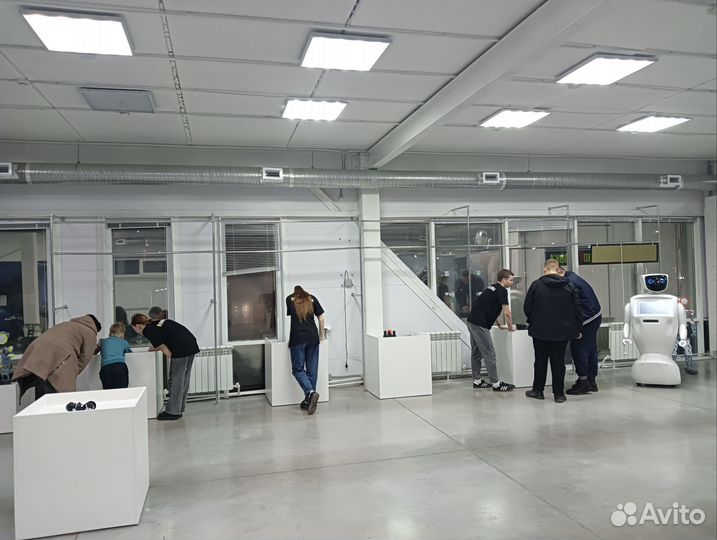 Интерактивная выставка