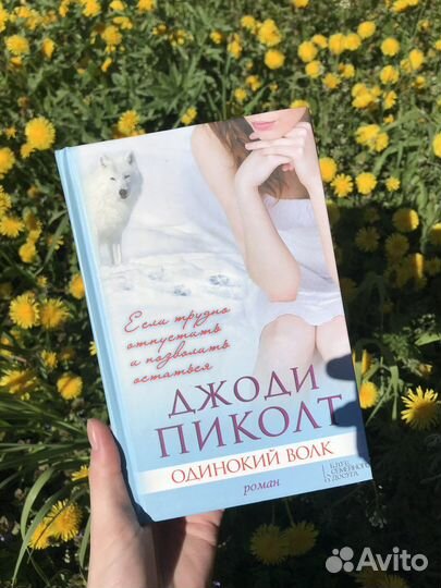 Книги разные, Джоди Пиколт, Уайльд, Бронте, Пушкин