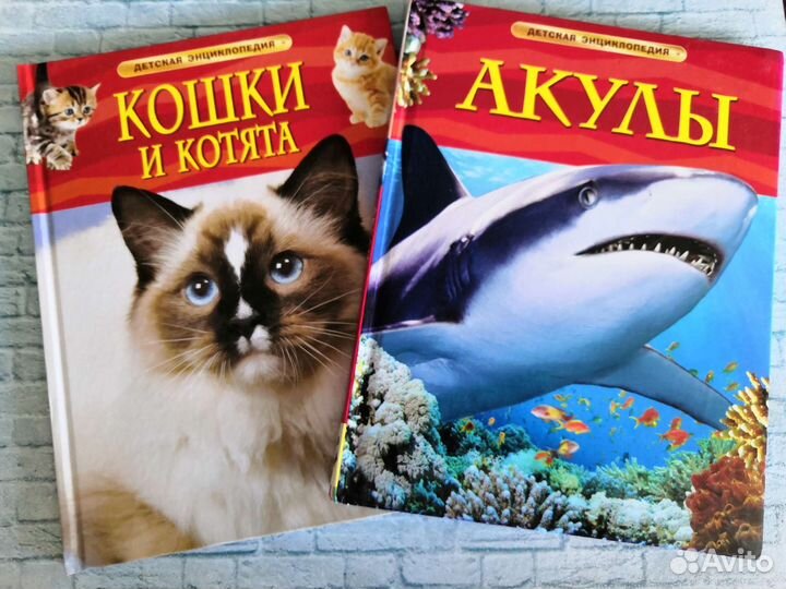 Детская энциклопедия росмэн а4