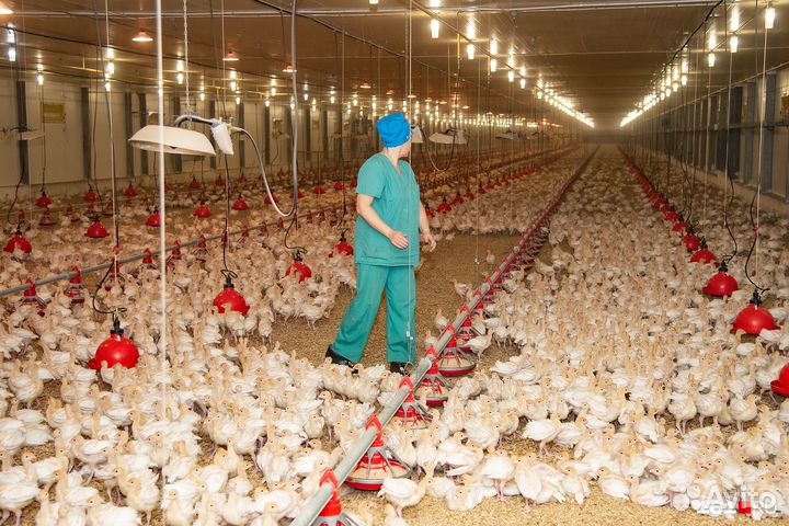 Вахта В Пензе от 15 смен/Смена от 2200/Питание