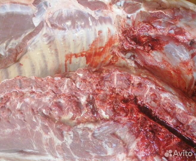 Мясо свинина