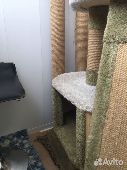 Домик для кошки с когтеточкой бу