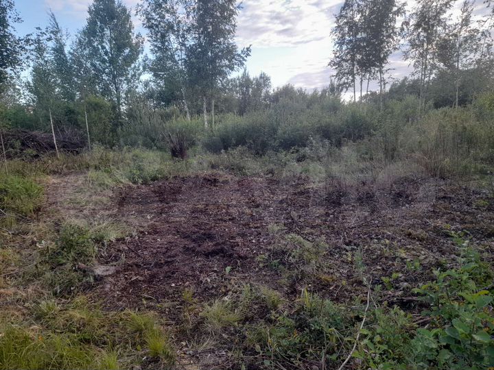 Участок 12 сот. (ИЖС)