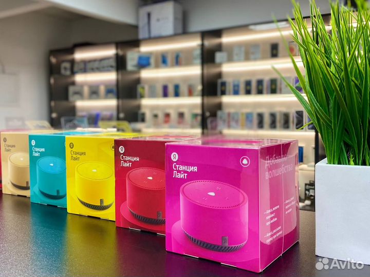 Яндекс станция алиса лайт