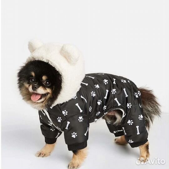 Одежда для собак
