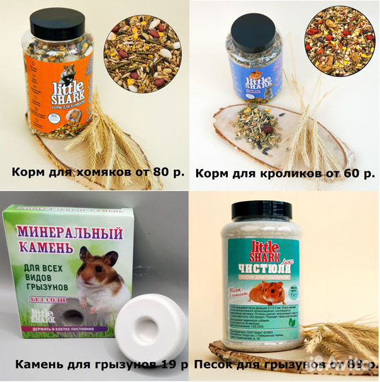 Корм для мелких и средних Попугаев оптом от произв