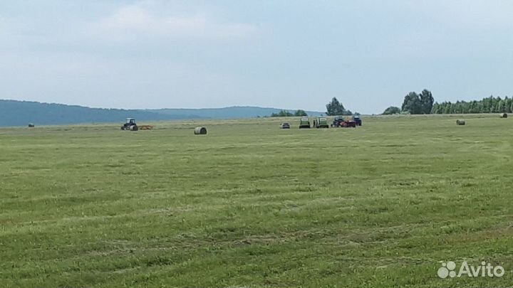 Сено в рулонах